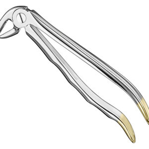 Extracting forceps, anat.