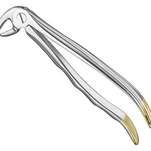 Extracting forceps, anat.