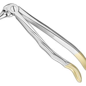 Extracting forceps, anat.