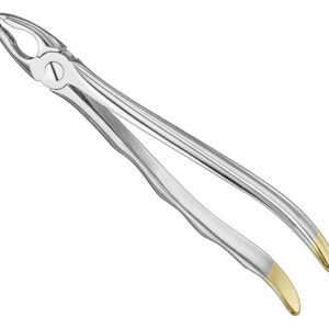 Extracting forceps, anat.