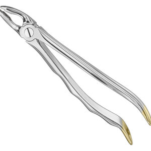Extracting forceps, anat.