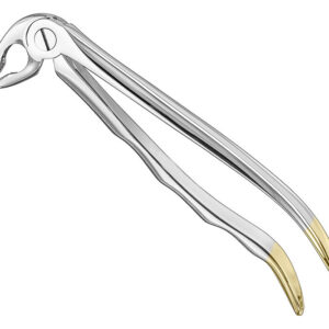 Extracting forceps, anat.