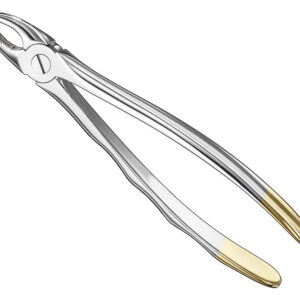 Extracting forceps, anat.