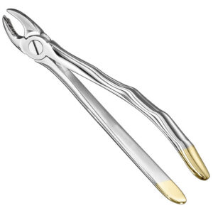 Extracting forceps, anat.