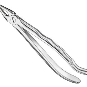 Extracting forceps, anat.