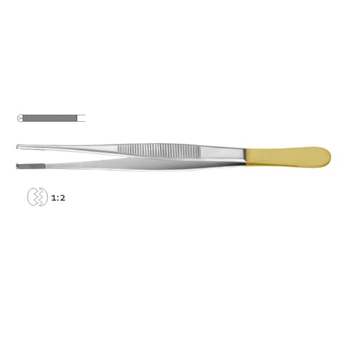 Oehler Dissecting Forcep