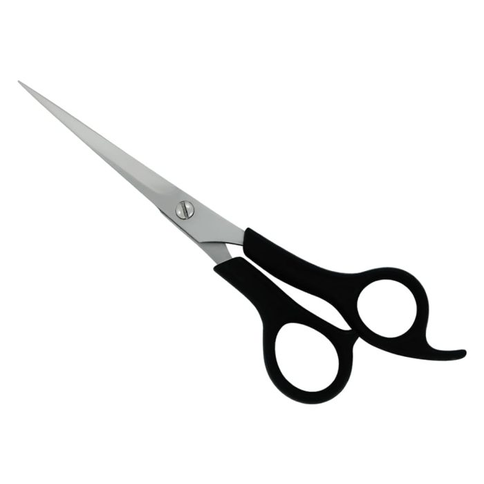Plastic Handle Scissor