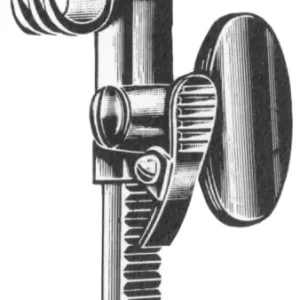 Bailey Rib